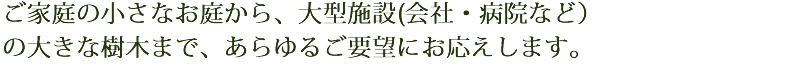 業務内容