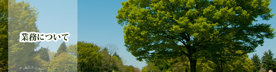 中眞緑美園
